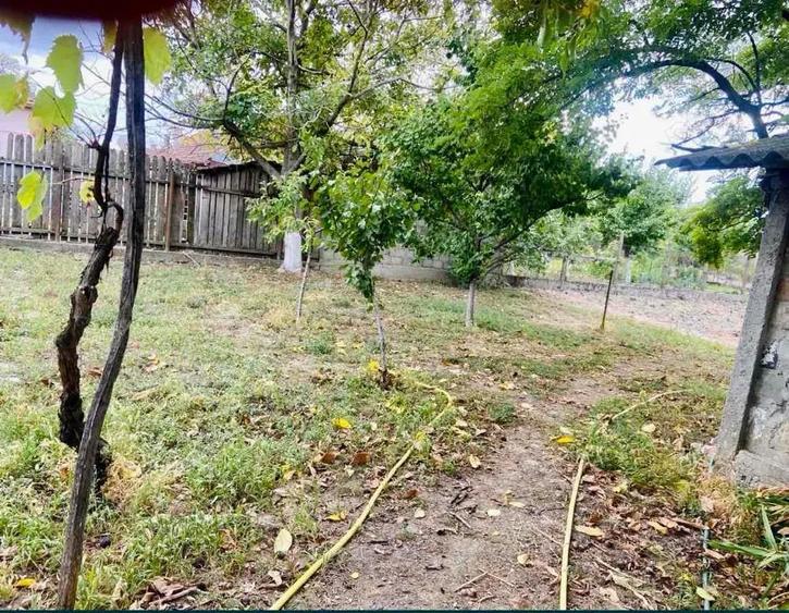 Casa cu teren mare 1230 mp in Nadlac, Arad 3 camere, gaz, front 40 m - 5