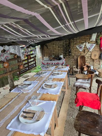 Casa deosebita renovata recent, teren 3698 mp - 2