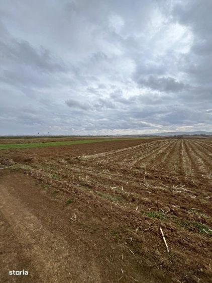 Teren extravilan 2500 mp,cu acces la Centura ,Radauti - 3