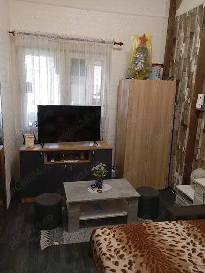 Vand locuin?a la curte comuna zona Me?ianu Arad. - 3