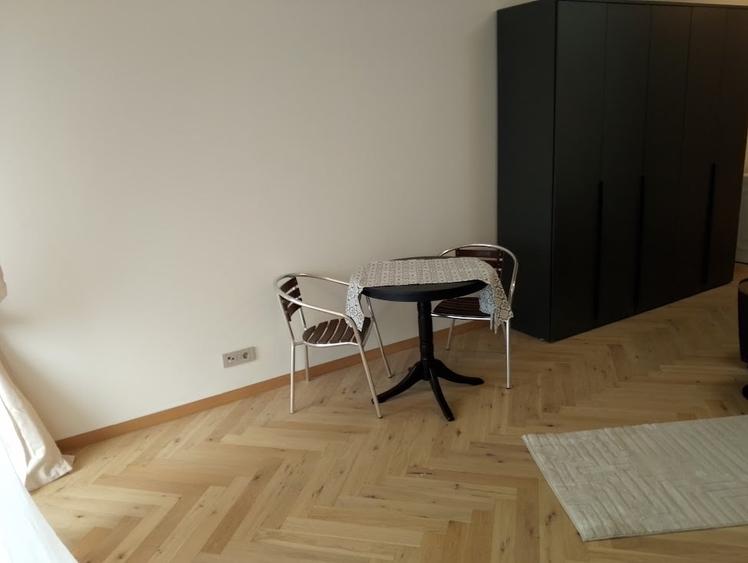 Piata VICTORIEI, Petru Rares Loft, lux,  Premium Building - 8