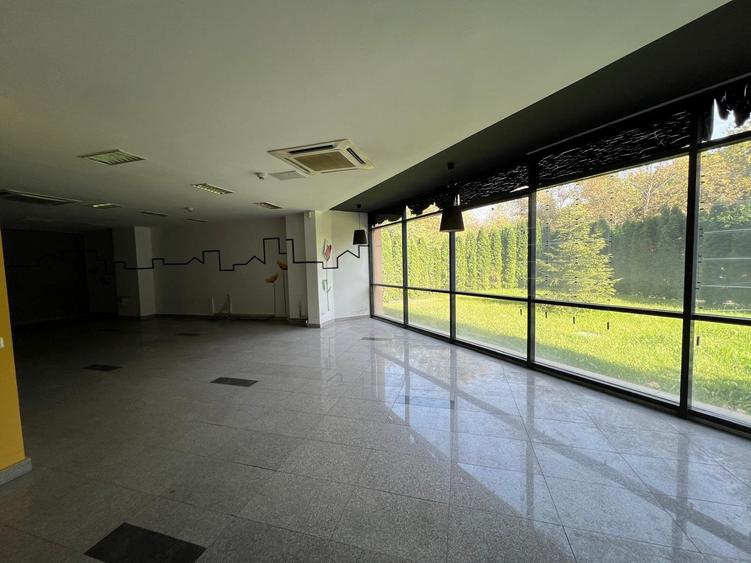 Spatii Birouri de Inchiriat Vad | Mezanin 320mp | Parc IOR - 6