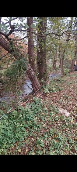 Pers fizica vand Casa +TEREN Valea Bratcutei - 1