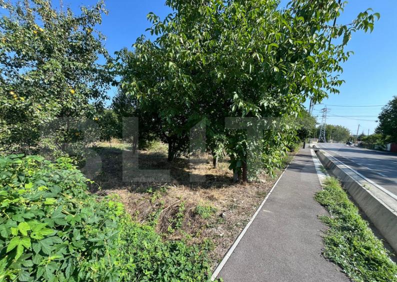 Teren intravilan de vanzare, 2.000 mp, deschidere 30 m - 12