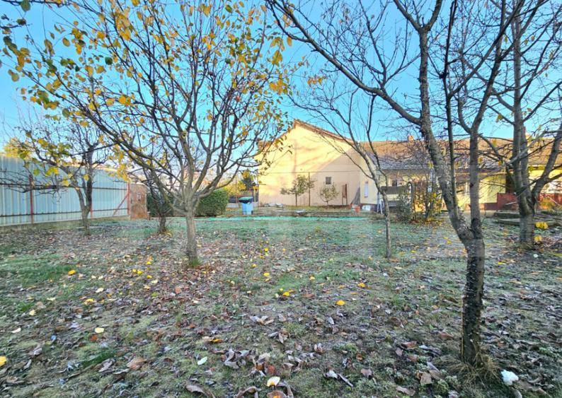 Teren Intravilan + Casa, 2 fronturi, Calea Bogdanesti - 7