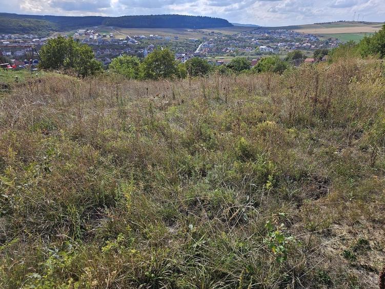 Teren cu autorizatie pentru doua case in Chinteni - 9