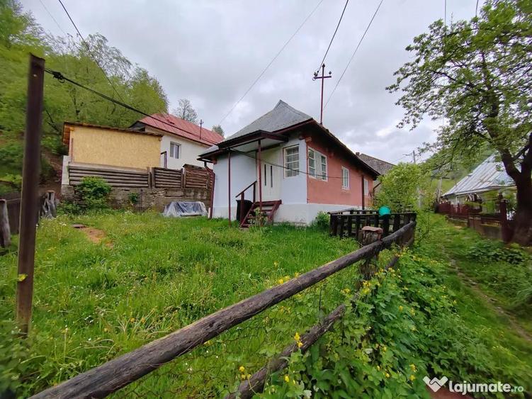 Casa de vanzare Cavnic - 2