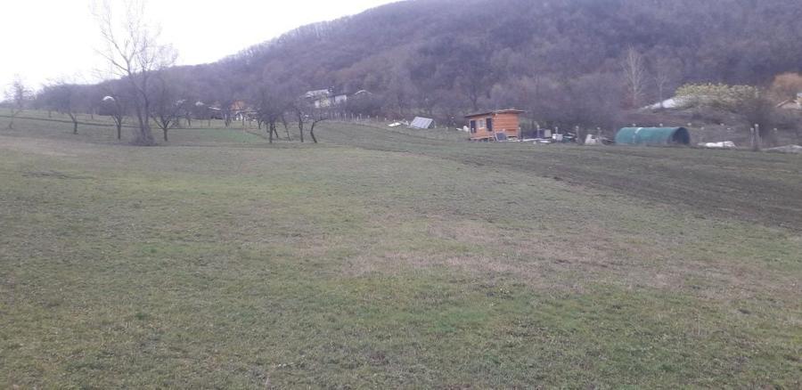 Teren Vladesti Priporu - 3