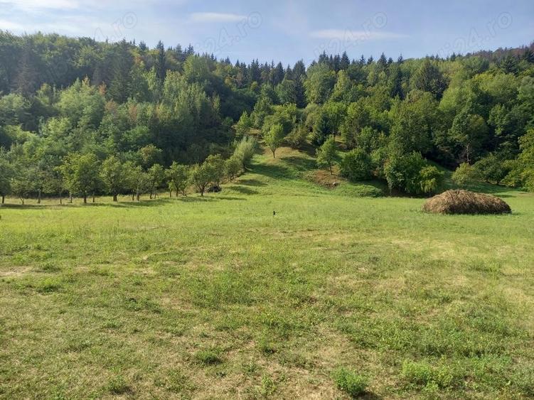 Teren Piatra-Neamt - 3