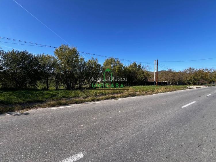 Teren intravilan/Str Balciului/Copacelu