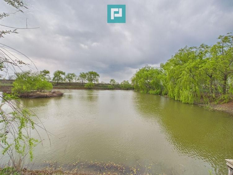 Teren 1 ha cu baltă populată – Alioș (Mașloc) - 1