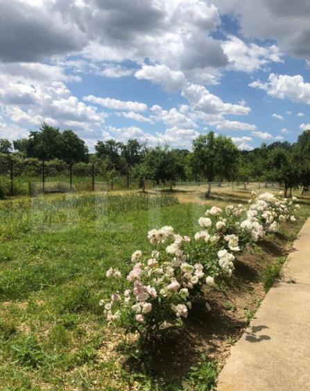 Vila 5 camere achizitie ideala pentru parinti sau familie - 20