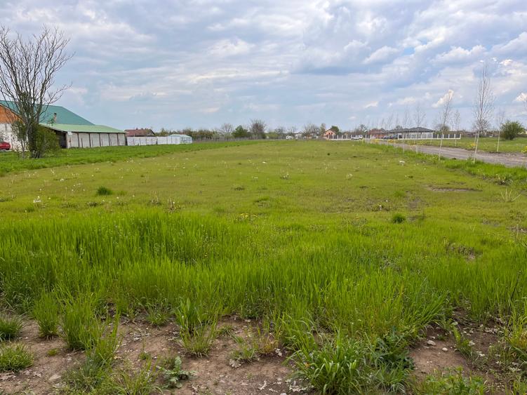 OPORTUNITATE INVESTITIE DASCALU, CREATA, LANGA NATURA RESIDENCE - 4