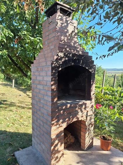 Vand casa spatioasa cu livada si teren generos (7200 mp) in Catamaresti-Deal, Botosani - 2