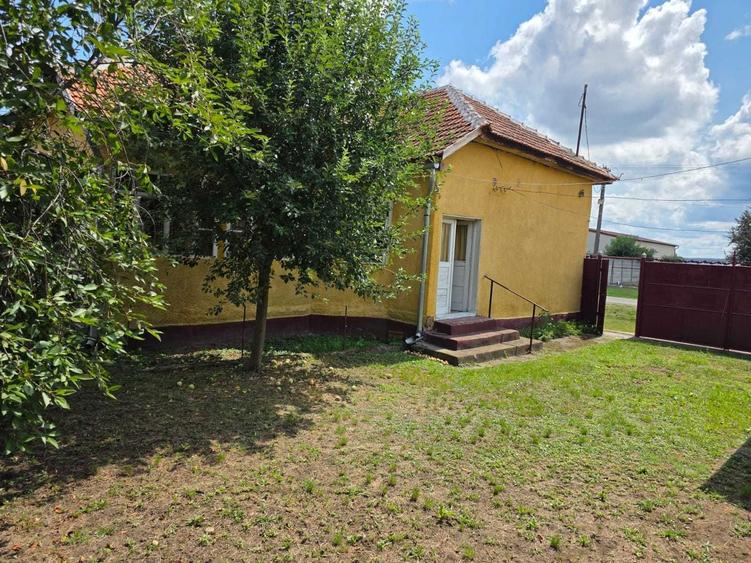 Vand teren pentru casa sau teren cu una sau doua case in comuna Bocsig, judetul Arad - 1