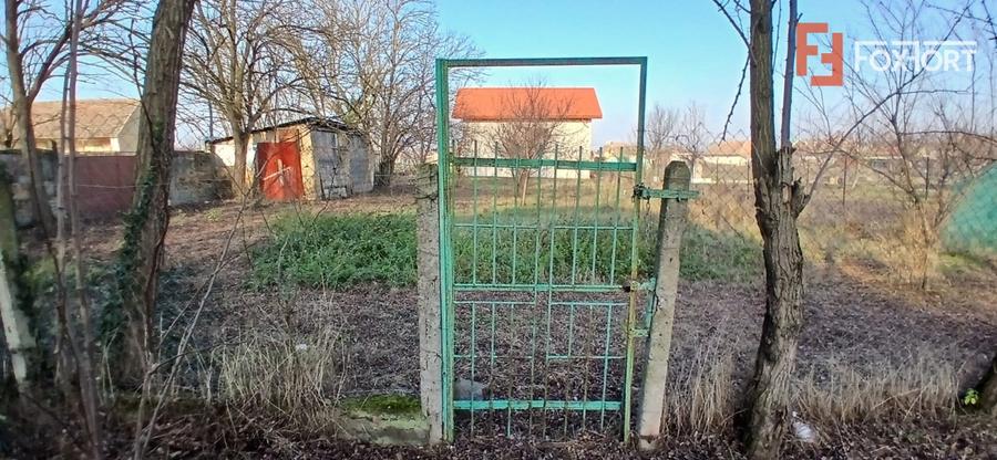 Casa individuala cu 3 camere si teren de 900 mp - Satchinez - 17