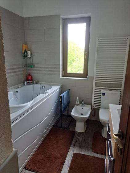 Proprietate de excepție în Lelești – la doar 8 km de Târgu Jiu - 7