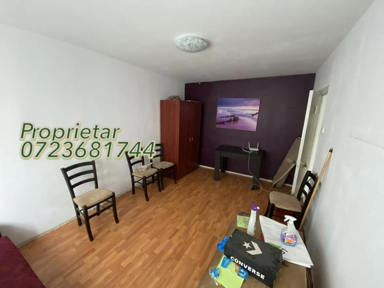 Nicolae Grigorescu, Proprietar - 2