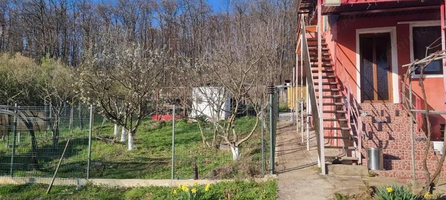 Casa P+M cu 1.558 mp teren, livada ?i garaj | Barza, Gorj Comision 0% - 16