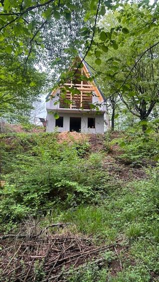 CHIUZBAIA 2CABANE cu teren de aprox. 70ari ! - 6