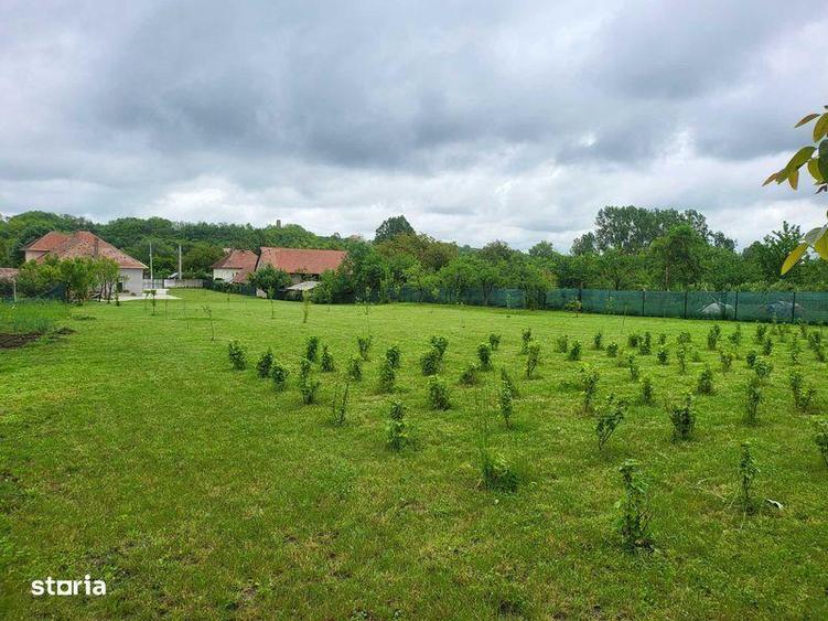 Teren Stremt str principala nr 113 - 1