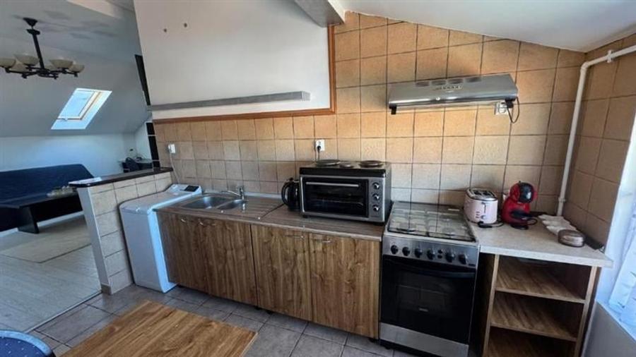 Studio deschis si la regim hotelier, priveliste frumoasa, pet friendly, loc parc - 9