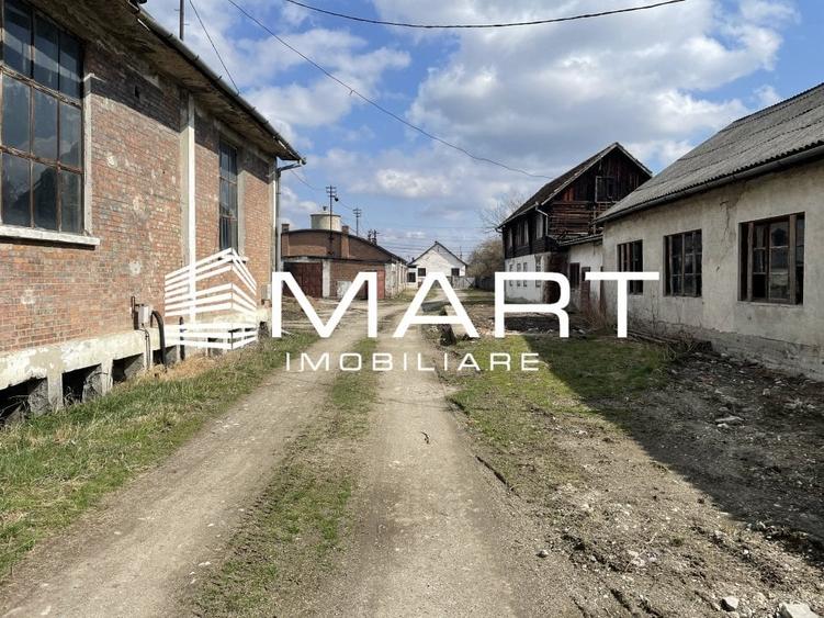 Teren intravilan 16000 mp + hale Calea Surii Mici - 2