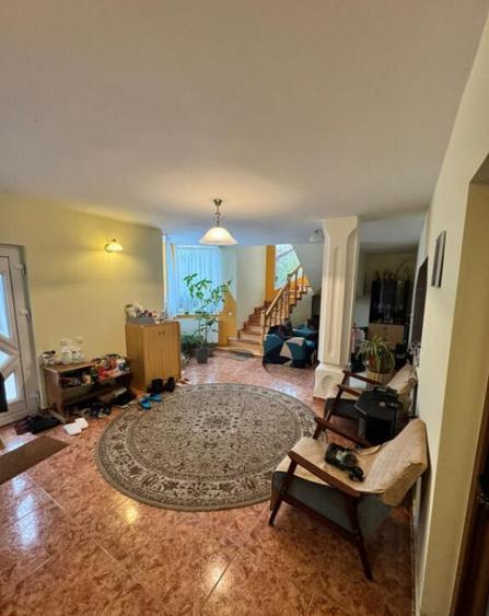 CASA DE VIS SAU AFACERE DE SUCCES BAIA SPRIE - 4