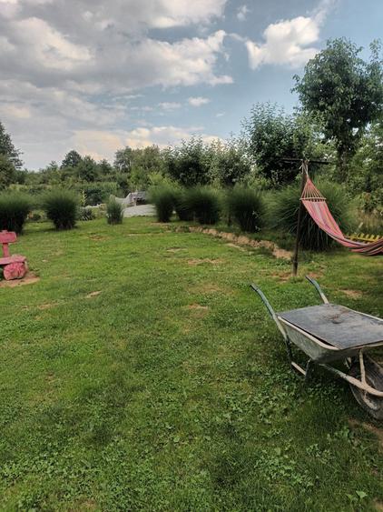 Casă cu 3 camere în Satu Nou de Sus