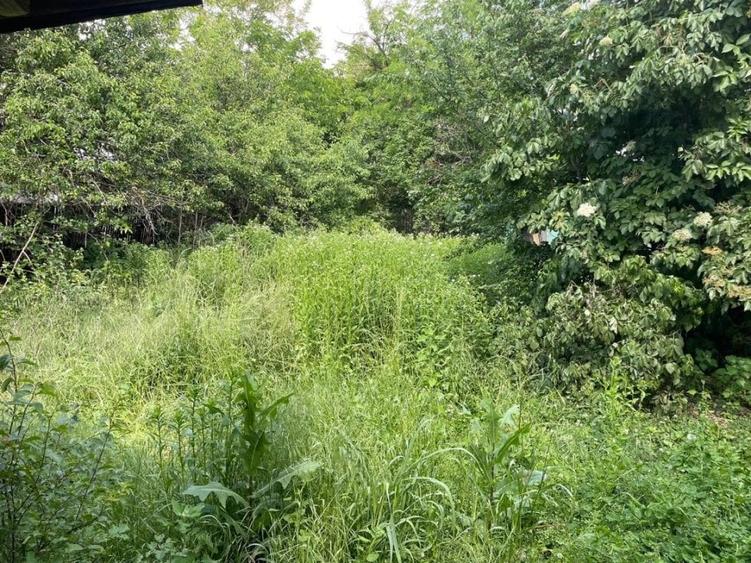 Teren Com. Cocorastii Colt-Sat Persunari-Jud. Prahova - 5