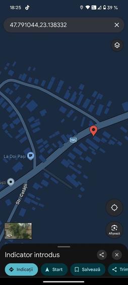 Teren 46 ari cu casa batraneasca Mediesu Aurit - 2