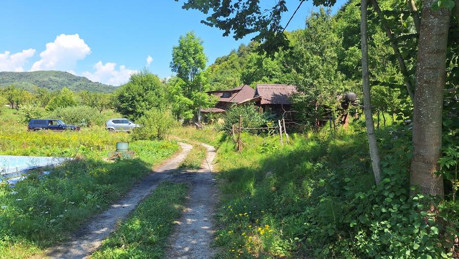 VANZARE ANSAMBLU CASUTE BRADULET ARGES - 15