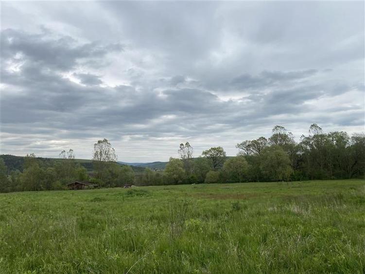 Oportunitate investitie | Teren 10 000 mp cu constructie de 530 mp la 10 km de V - 3