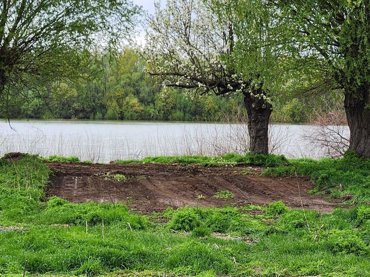 Teren Delta Dunarii 1.000 mp - Teren Pardina (Bratul Chilia) - 3