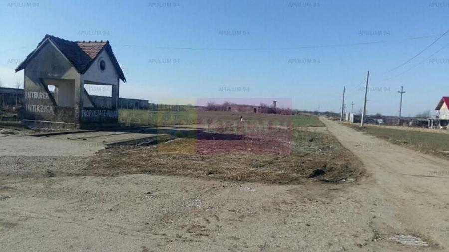 Teren Balotesti- Saftica - 1