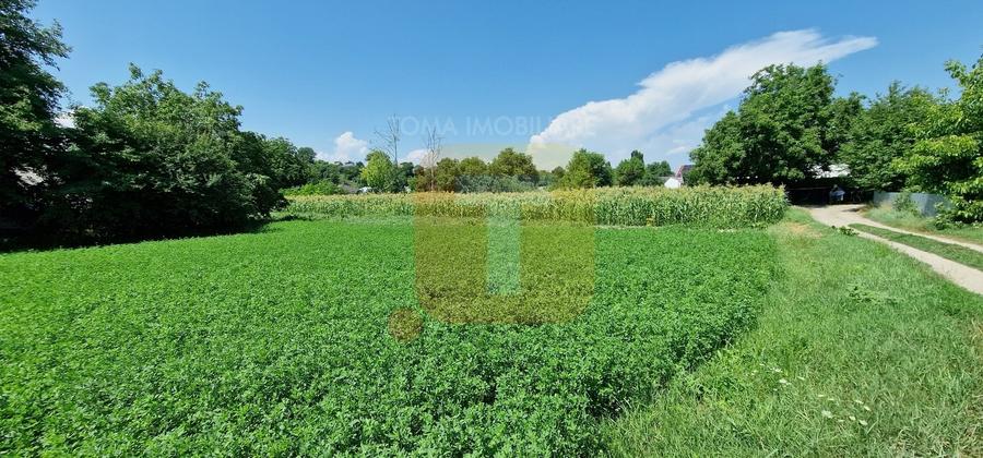 Teren intravilan 4.133 mp cu dublă deschidere – Girov, Neamț | Toma Imobiliare - 3