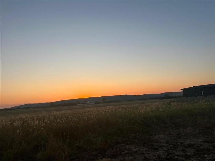 RECO Teren intravilan pentru casa Osorhei cu PUZ - 14