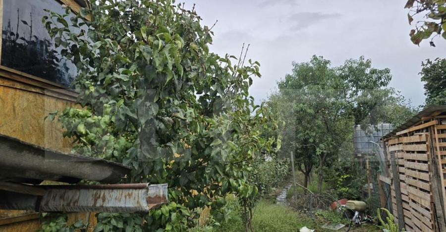 Casa de vanzare cu 2 camere, 77 mp, zona Botizului - 2