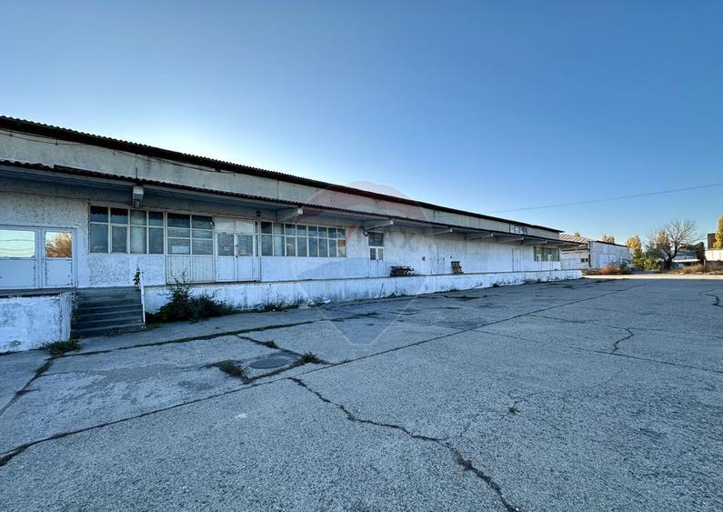 Hale Brailei Plus Frig - 1