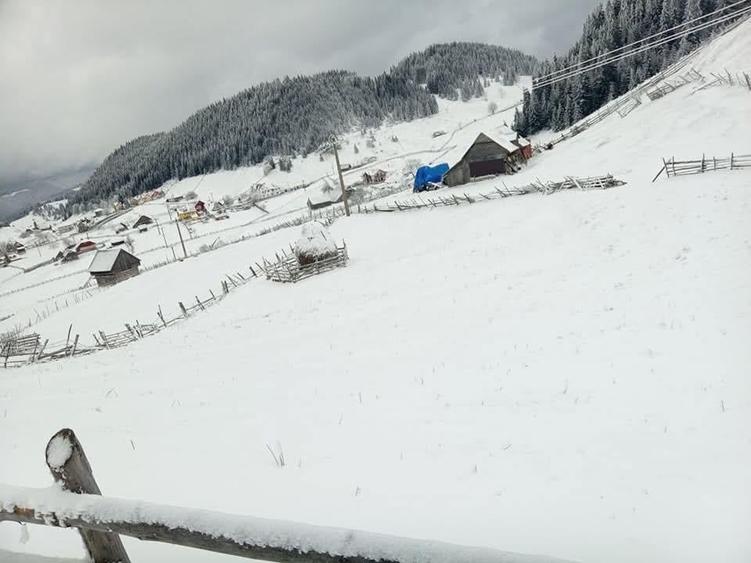 Teren Intravilan Fundata 1421Mp - 7