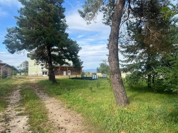 DE VÂNZARE / DE ÎNCHIRIAT HALĂ DE PRODUCȚIE + DEPOZIT + TEREN 5.033 mp - 4