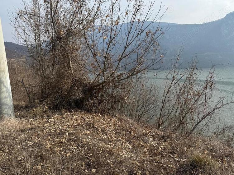 Teren intravilan Dubova 526 mp - 8