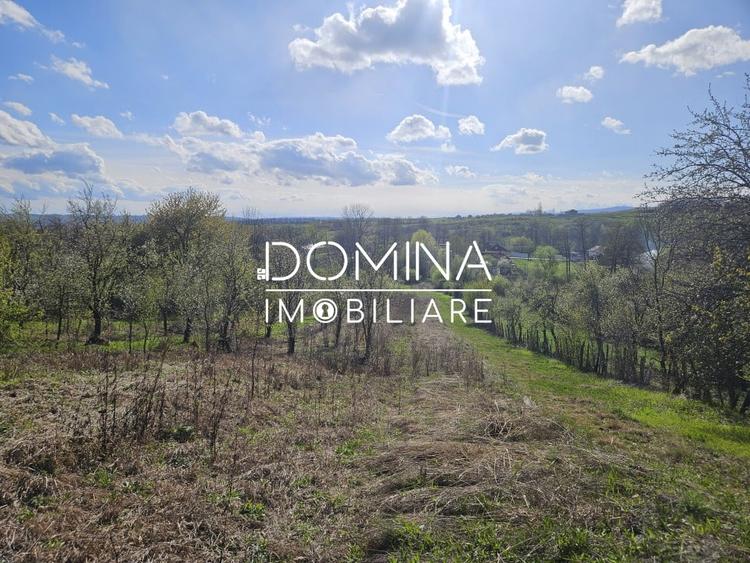 Vanzare teren 4606 mp - Sat Balta - Runcu - la aproximativ 20 km de Targu Jiu - 5