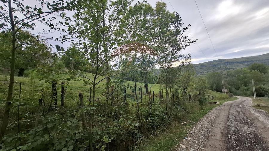 Teren cu priveliste spectaculoasa, 4000mp, la 18km de Sinaia - 5