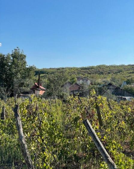 Casa batraneasca, locuibila, Podari, teren 1050 mp - 4