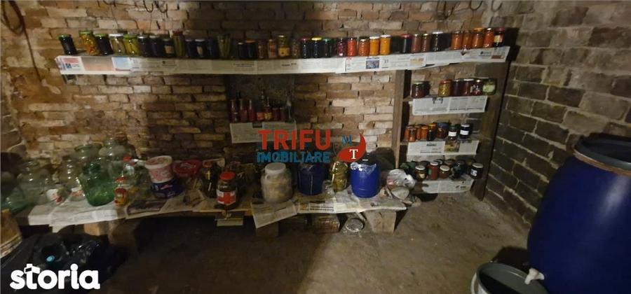 Oferta Vanzare Casa in ?eu?a, Comuna Ciugud - 2