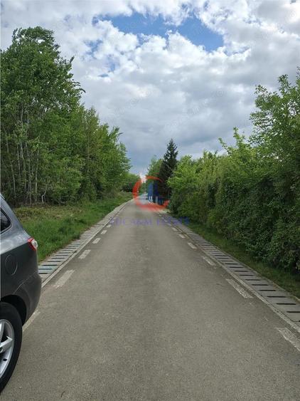 Parcele Teren Lacul Surduc Fardea - 3