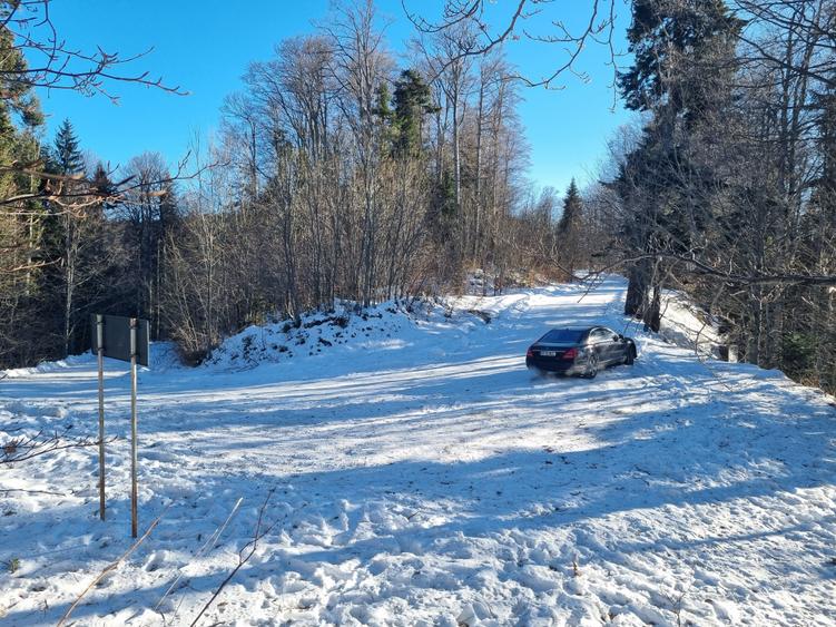 "Oază montană la Pârâul Rece – pensiune complet funcțională, în inima pădurii. - 7