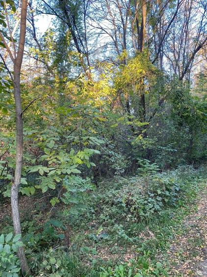 Teren de vanzare Nistoresti-Breaza 1081mp - 1