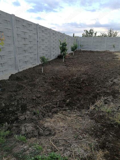 Teren de inchiriat in Dumbravita, 1E mp. - 2